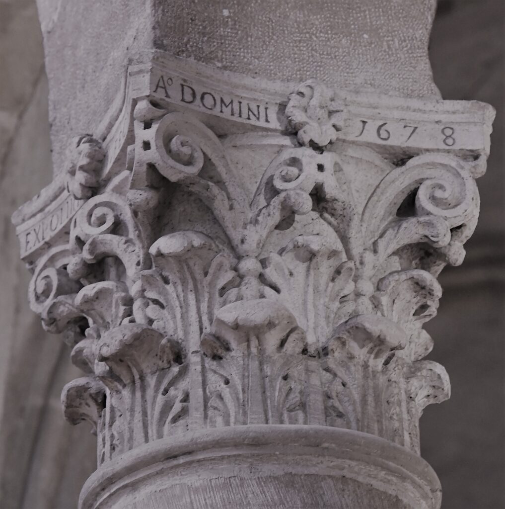 DSC 0137 (2)
