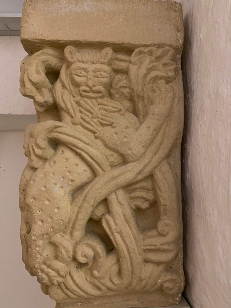 IMG 3645